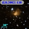 [GSL2002] 110