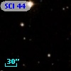 SCl  44