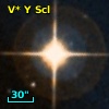V* Y Scl