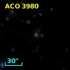 ACO  3980