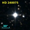 HD 240075