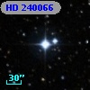 HD 240066