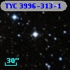TYC 3996-313-1