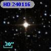 HD 240116