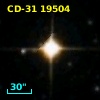 CD-31 19504