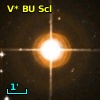 V* BU Scl