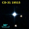 CD-31 19515