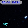 CD-31 19531