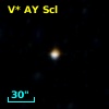 V* AY Scl
