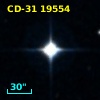 CD-31 19554