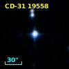 CD-31 19558
