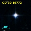 CD-30 19772