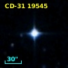 CD-31 19545
