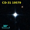 CD-31 19579