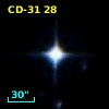 CD-31    28
