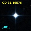 CD-31 19576