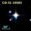 CD-31 19583