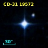 CD-31 19572