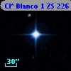 Cl* Blanco    1     ZS     226
