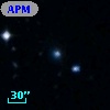 APMCC 954
