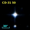 CD-31    50