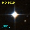 HD   1019