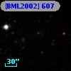 [BML2002]  607
