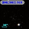 [BML2002]  919