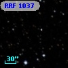 RRF 1037