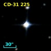 CD-31   225