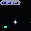CD-29   203