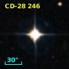 CD-28   246