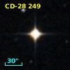 CD-28   249