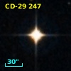 CD-29   247