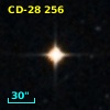 CD-28   256