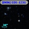 [EM96] COS-1231