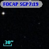 FOCAP SGP7:19