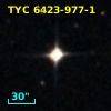 TYC 6423-977-1