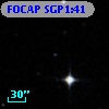 FOCAP SGP1:41