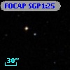 FOCAP SGP1:25