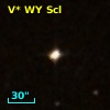 V* WY Scl