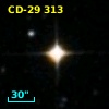 CD-29   313