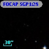 FOCAP SGP1:28