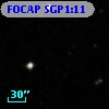 FOCAP SGP1:11