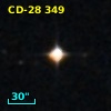 CD-28   349