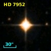 HD   7952