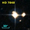 HD   7848