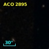 ACO  2895