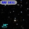 RRF 1031