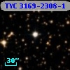 TYC 3169-2308-1